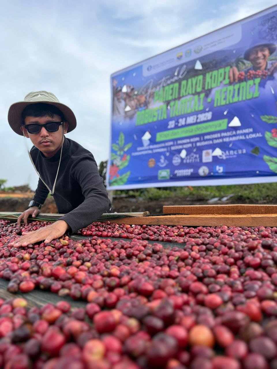 Petani sedang meratakan kopi merah (cherry coffee) pada proses penjemuran di area Panen Rayo Kopi Kerinci, Jambi.