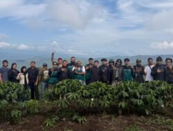 Panen Kopi Robusta Tamiai di Kerinci Dorong Regenerasi Petani Kopi Jambi