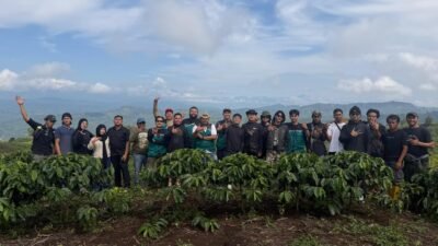 Panen Kopi Robusta Tamiai oleh PPKJ di Desa Tamiai Kerinci saat kegiatan petik merah kopi Jambi